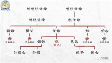 表堂怎麼分|堂兄弟、表姐妹，這類稱呼你會用錯嗎？知道分別代表哪些親戚。